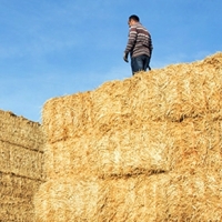 Piden un plan de choque contra la siniestralidad laboral en el campo