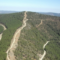 Aprobada la oferta pública de caza en Extremadura