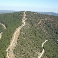 Aprobada la oferta pública de caza en Extremadura