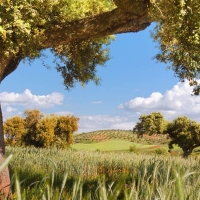 Ayudas a zonas con limitaciones naturales en Extremadura
