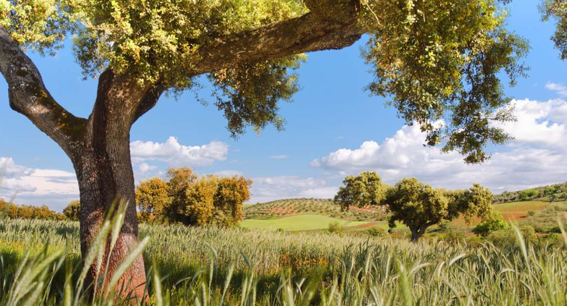 Ayudas a zonas con limitaciones naturales en Extremadura