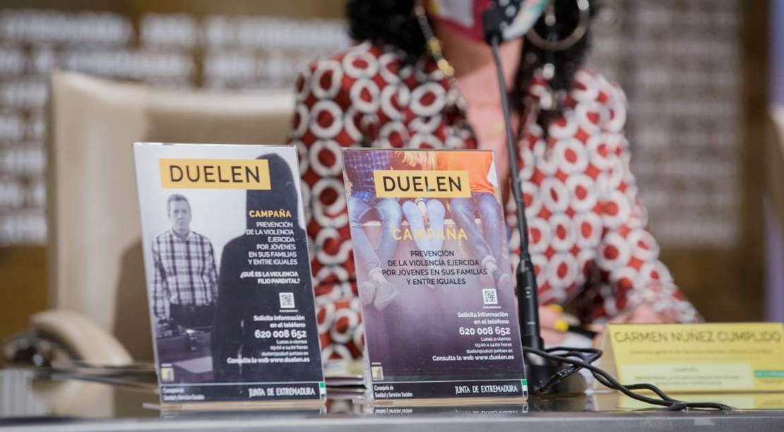 Campaña dirigida a la prevención de la violencia en el ámbito familiar ejercida por los jóvenes