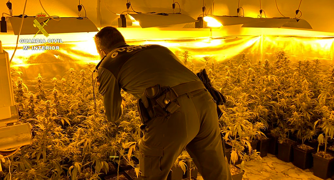 La Guardia Civil encuentra una plantación en otra pequeña localidad extremeña