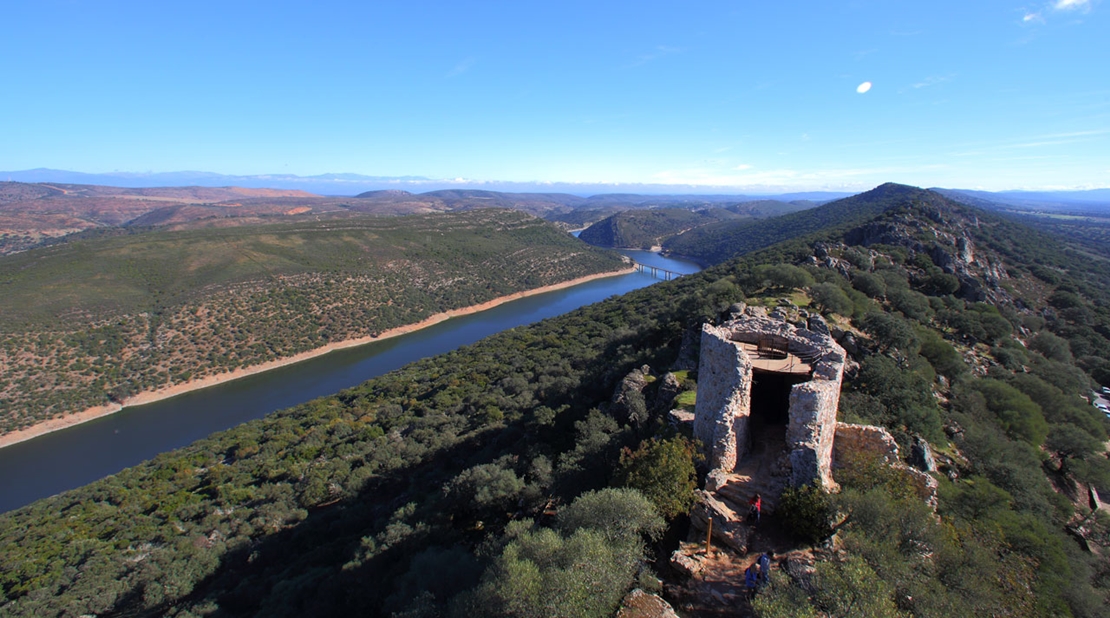 Control de ciervos y jabalíes en el Parque Nacional de Monfragüe