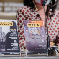 Campaña dirigida a la prevención de la violencia en el ámbito familiar ejercida por los jóvenes