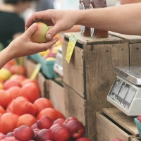 Regulan la venta directa de productos agrarios al consumidor en Extremadura