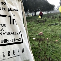 Las mascarillas: una nueva amenaza para la naturaleza