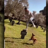 Detenido tras saltar encima de varias tumbas en el cementerio de Cuacos de Yuste (Cáceres)