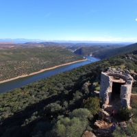 Control de ciervos y jabalíes en el Parque Nacional de Monfragüe