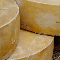 La Ruta del Queso de Extremadura amplía su territorio con la DOP Queso de Acehúche