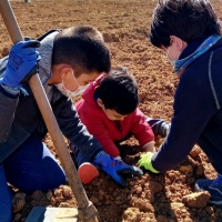 ADENEX celebra el Día del Árbol reivindicando su importancia en el ecosistema