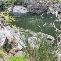 Denuncian el estado del río Jerte a su paso por Plasencia