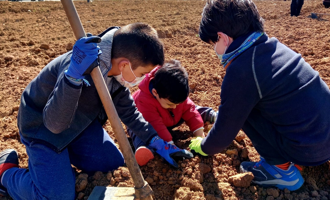 ADENEX celebra el Día del Árbol reivindicando su importancia en el ecosistema