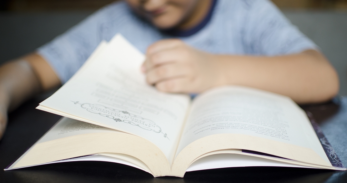 Cultura valora el trabajo “en común” para fomentar la lectura en la región