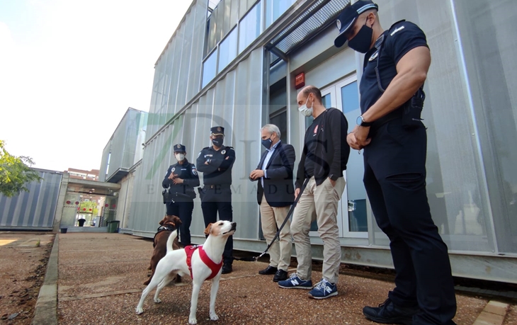 El perro viajero más famoso de España aterriza en Badajoz