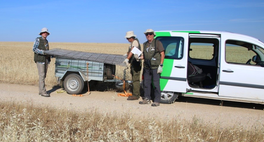 La importante labor de ANSER para evitar la extinción de un ave en Extremadura