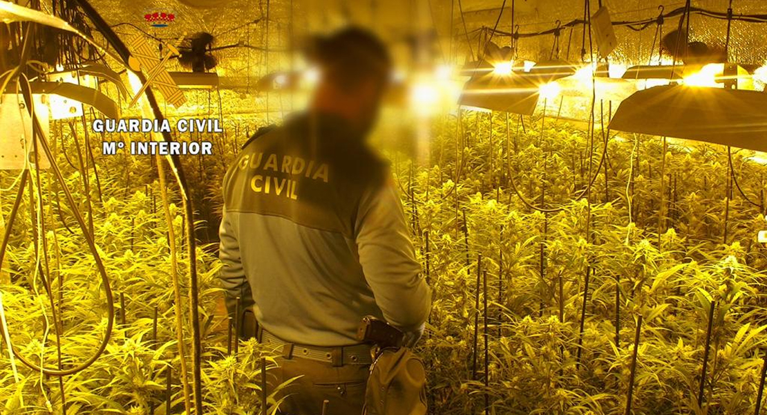 Tres jóvenes de 17 y 21 años detenidos en Extremadura por cultivo de marihuana