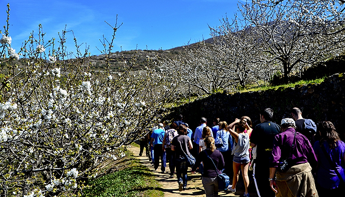 Las reservas de última hora aumentan la ocupación en el norte de Extremadura