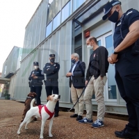 El perro viajero más famoso de España aterriza en Badajoz