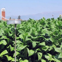 Alertan de la &quot;brutal&quot; subida de las tarifas eléctricas para los regantes en Extremadura