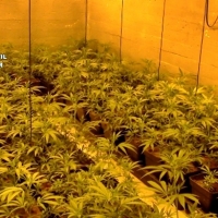 Utilizan un sistema pionero de ocultación de droga