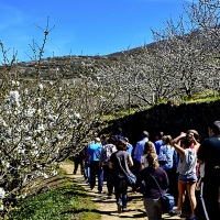Las reservas de última hora aumentan la ocupación en el norte de Extremadura