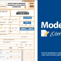 El 41 % de las presentaciones del modelo 600 se han realizado de forma telemática
