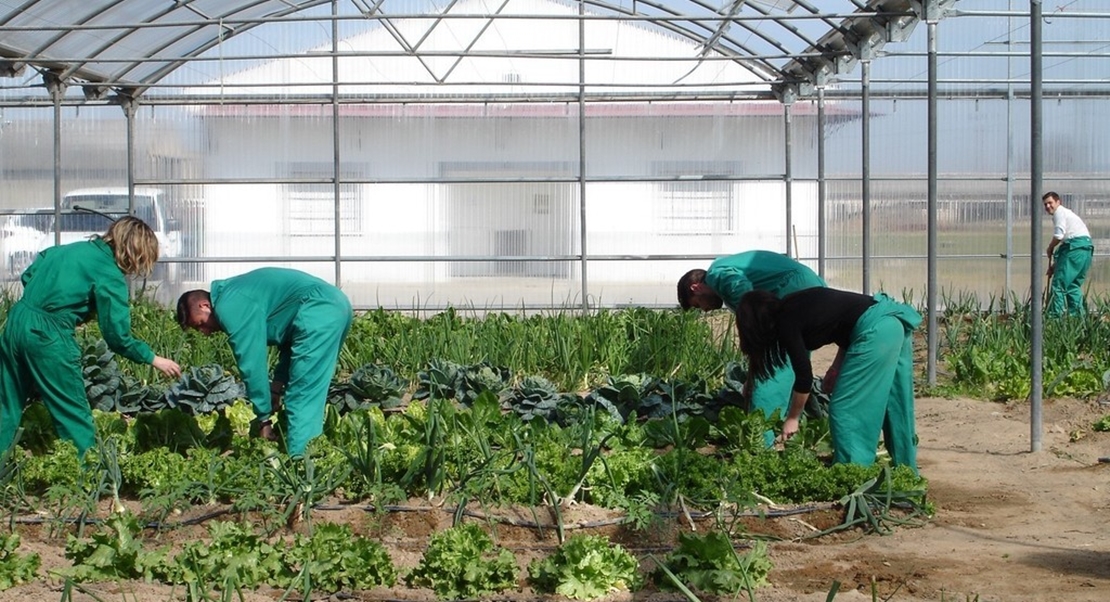 El directorio agroalimentario extremeño de venta a domicilio no deja de crecer