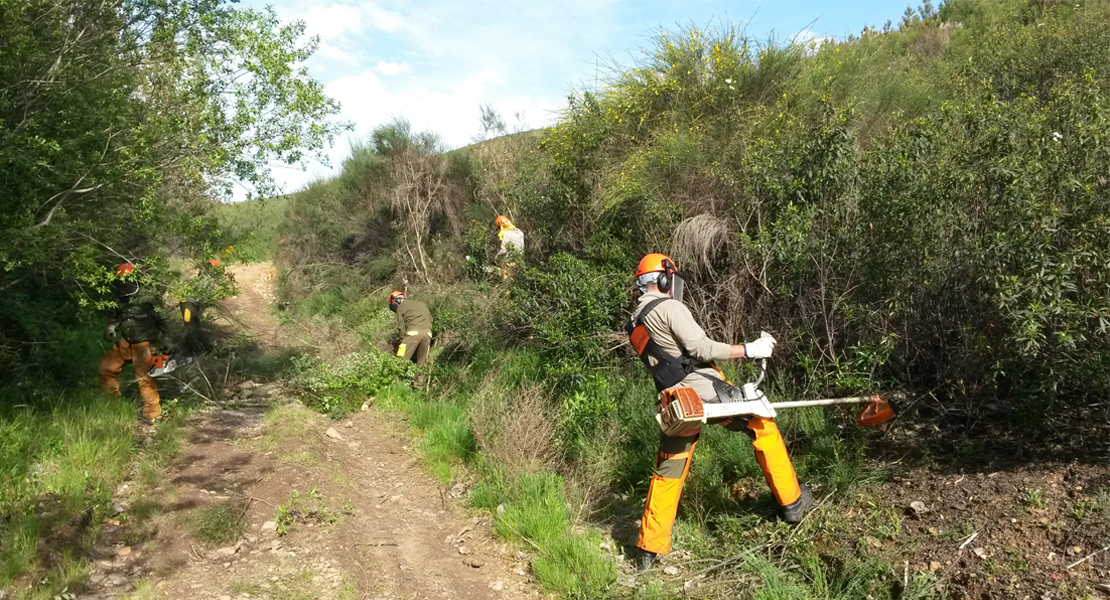 La Junta de Extremadura publica la lista de espera de la categoría de bombero forestal conductor