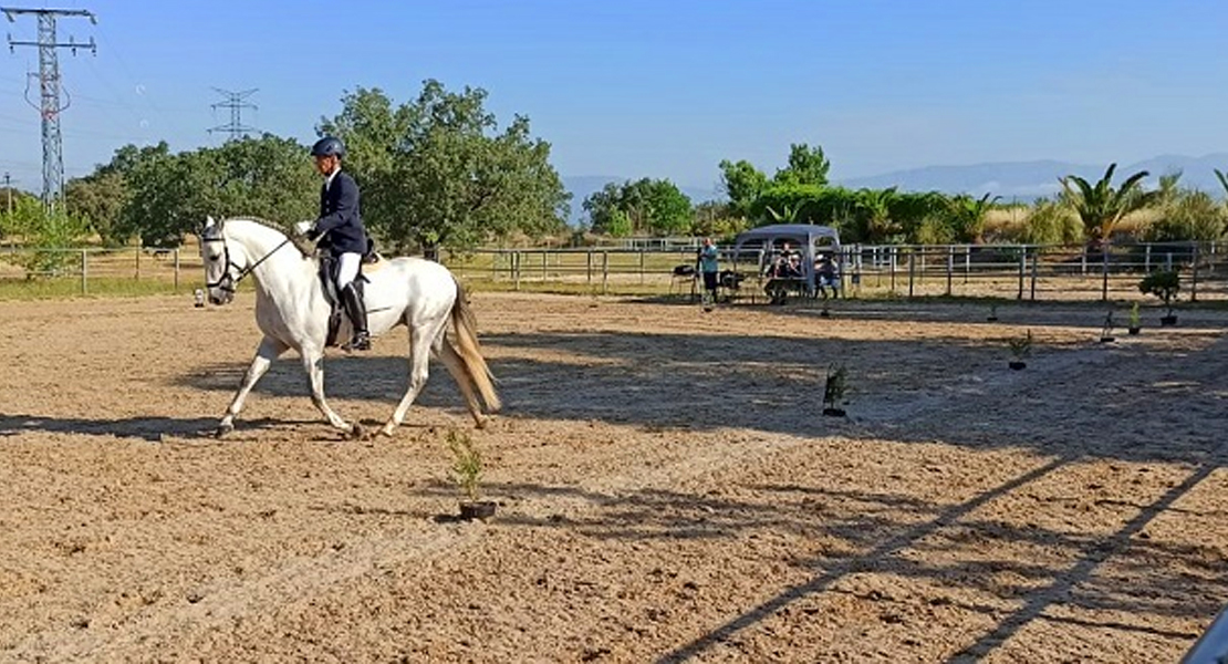 Extremadura acoge una prueba nacional de caballos para fomentar la pura raza española