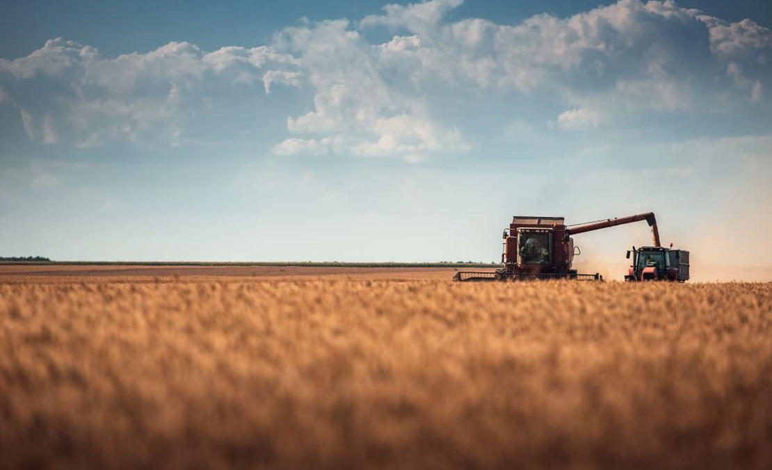 “Las instituciones pretenden convertir a los agricultores en los jardineros de Europa”