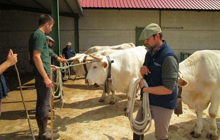 232 proyectos nuevos de creación de empresas por jóvenes agricultores