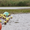 REPOR: El parque del Guadiana testigo de la XVI edición del Triatlón Puerta Palmas