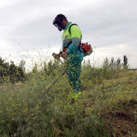 Campaña de desbroce en Cáceres de cara al verano