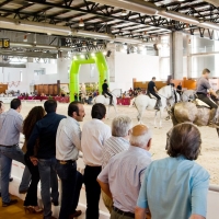 IFEBA celebra el regreso de ECUEXTRE a su calendario anual