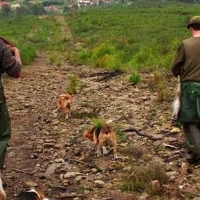 ANPBA presenta recurso contra la BIC de monterías y rehalas en Extremadura