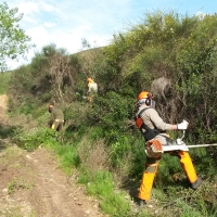 La Junta de Extremadura publica la lista de espera de la categoría de bombero forestal conductor