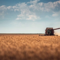 “Las instituciones pretenden convertir a los agricultores en los jardineros de Europa”
