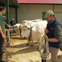 232 proyectos nuevos de creación de empresas por jóvenes agricultores