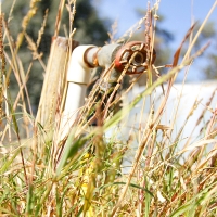 APAG Asaja denuncia el “engaño manifiesto” de Agroseguro en las valoraciones de la sequía en pasto
