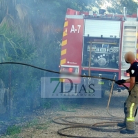 Los bomberos de Badajoz actúan en varios incendios forestales