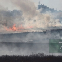 Incendio forestal frente a Los Montitos (Badajoz)