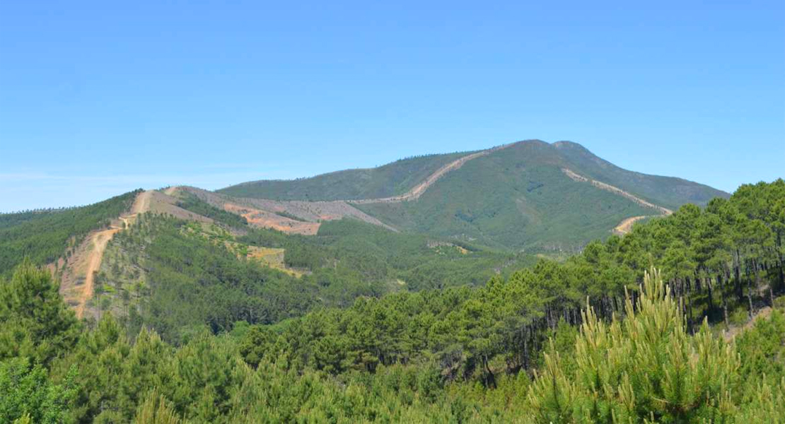 Continúan los trabajos para prevenir incendios en la Zona de Alto Riesgo de Sierra de Gata