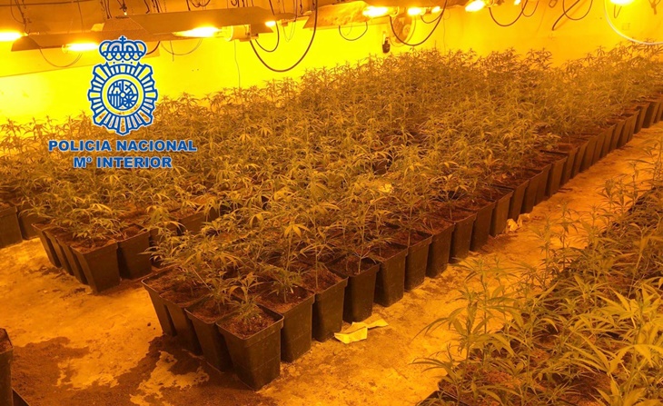 Detenidos dos jóvenes por tráfico de drogas en Mérida