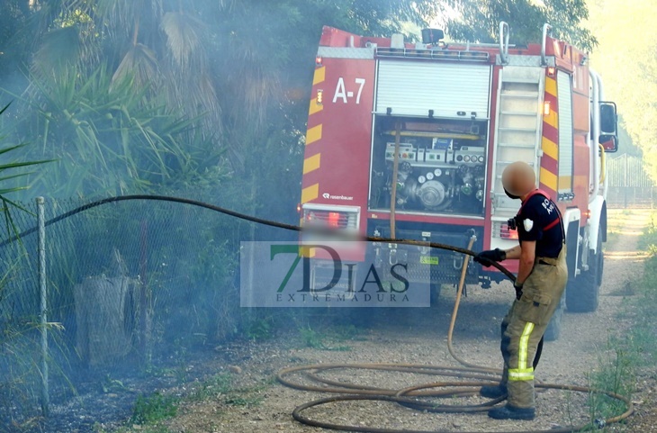 Los bomberos de Badajoz actúan en varios incendios forestales