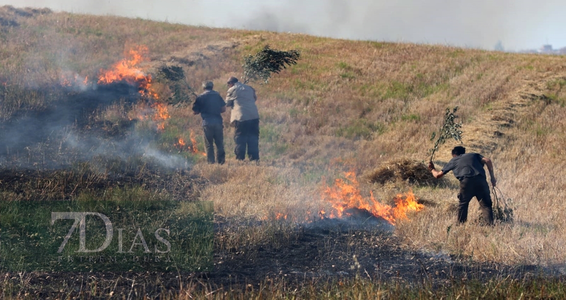 Incendio forestal frente a Los Montitos (Badajoz)