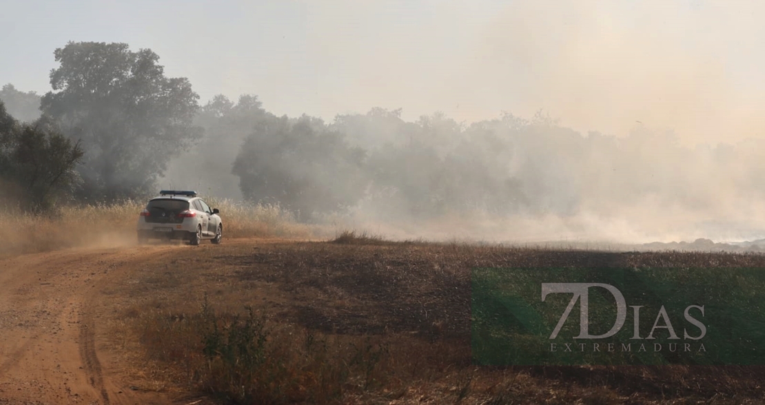 Incendio forestal frente a Los Montitos (Badajoz)