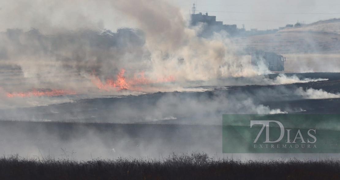 Incendio forestal frente a Los Montitos (Badajoz)