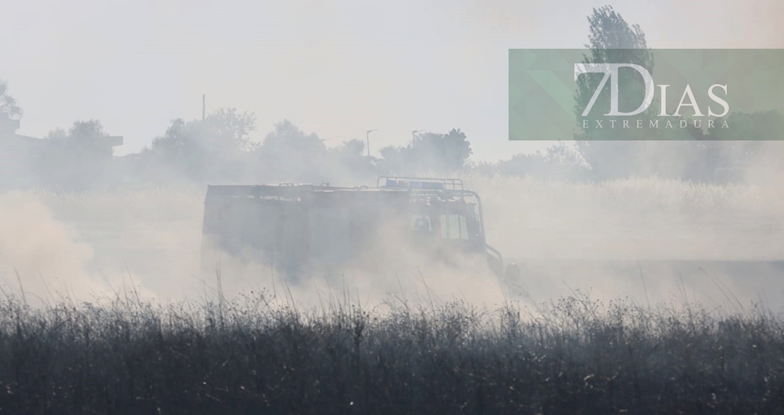 Incendio forestal frente a Los Montitos (Badajoz)