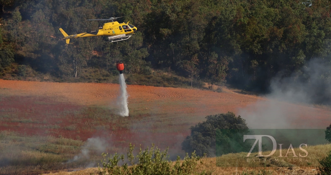 Incendio forestal frente a Los Montitos (Badajoz)